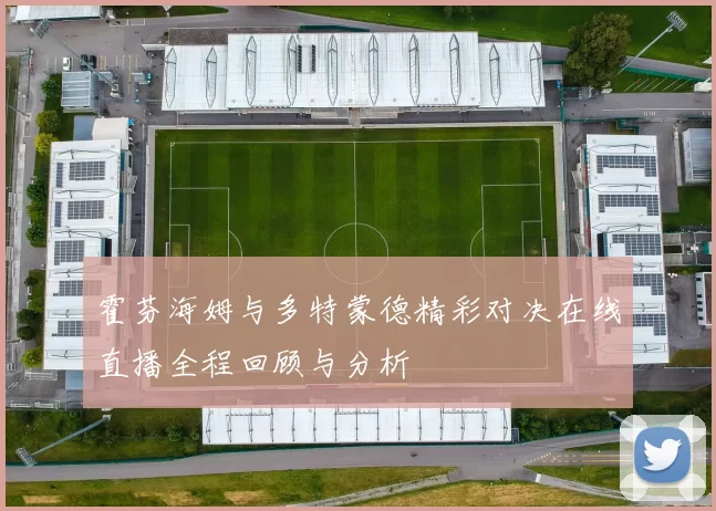 霍芬海姆与多特蒙德精彩对决在线直播全程回顾与分析