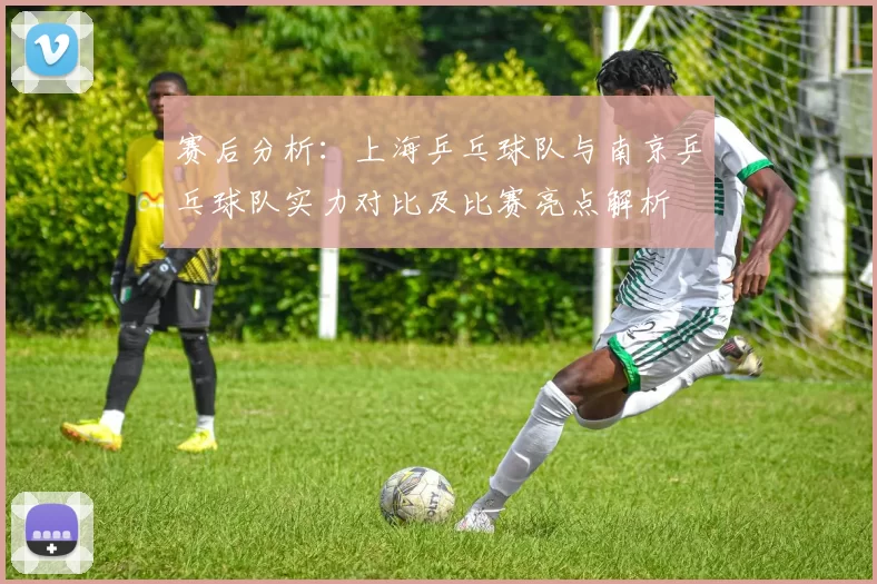 赛后分析：上海乒乓球队与南京乒乓球队实力对比及比赛亮点解析