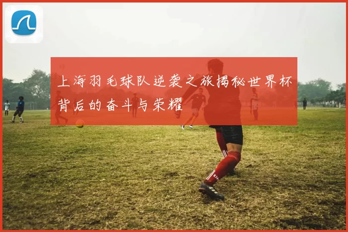 上海羽毛球队逆袭之旅揭秘世界杯背后的奋斗与荣耀