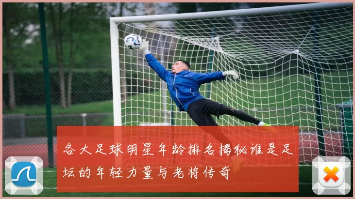 各大足球明星年龄排名揭秘谁是足坛的年轻力量与老将传奇
