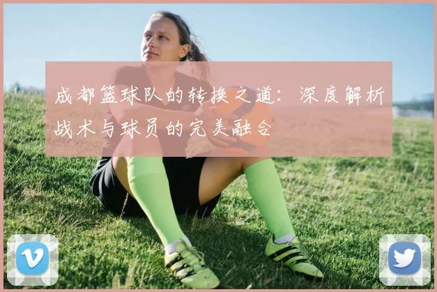 成都篮球队的转换之道：深度解析战术与球员的完美融合