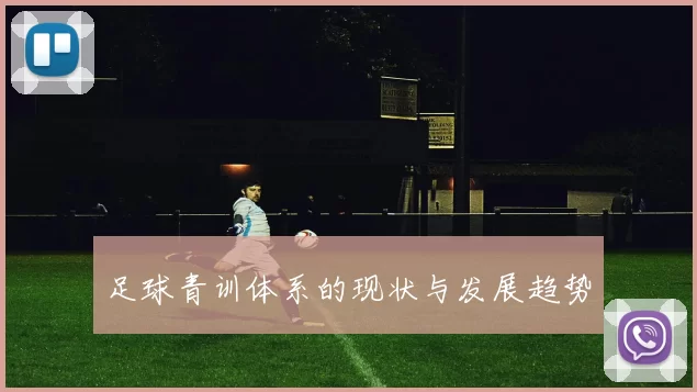 足球青训体系的现状与发展趋势