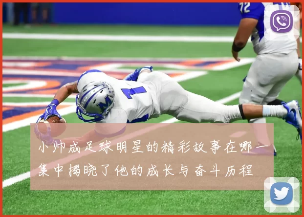 小帅成足球明星的精彩故事在哪一集中揭晓了他的成长与奋斗历程
